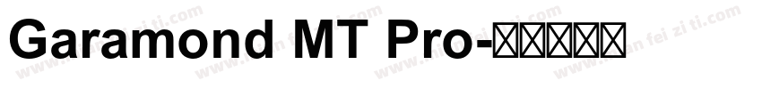 Garamond MT Pro字体转换